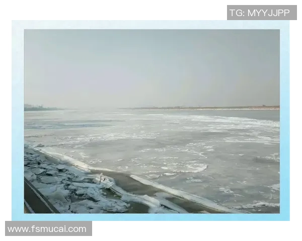 南京羽毛球队整体表现分析:压制对手与失误的双重影响探讨 南京羽毛球队整体表现分析:压制对手与失误的双重影响探讨