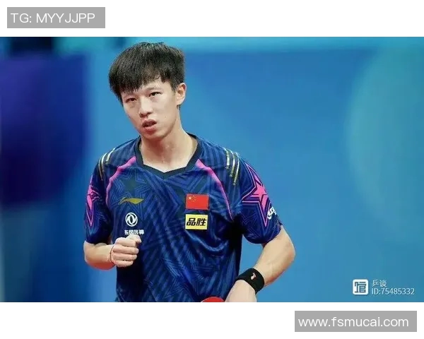 南京乒乓球队状态分析与发展展望聚焦乒乓球运动的未来之路