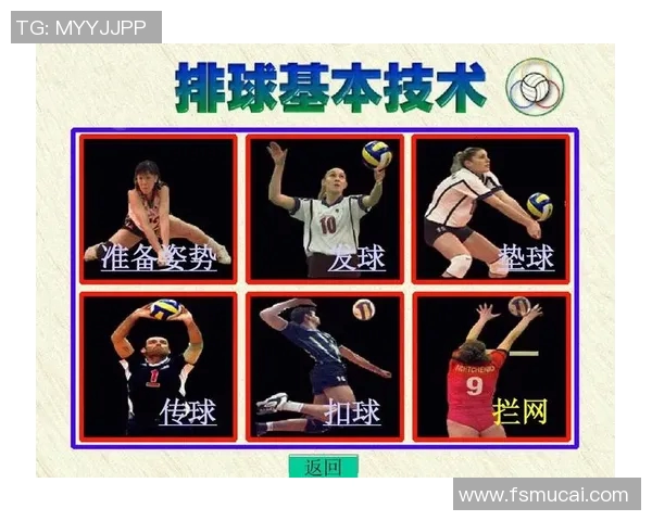 北京排球队的速度之美与战术解析探讨排球运动的魅力与挑战 北京排球队的速度之美与战术解析探讨排球运动的魅力与挑战