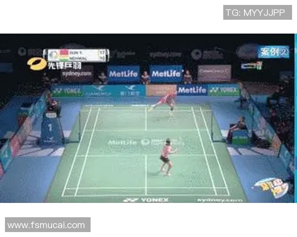 北京羽毛球队战术解析:从训练到比赛的全面剖析与策略探讨 北京羽毛球队战术解析:从训练到比赛的全面剖析与策略探讨