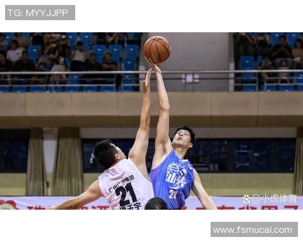 广州篮球队灵活性分析及其对比研究揭示球队竞争优势