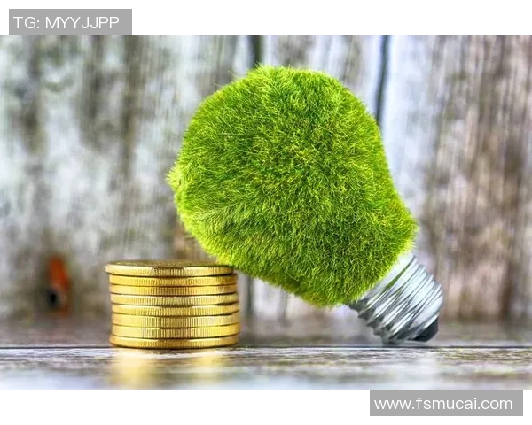 绿色11号足球明星引领环保运动助力可持续发展新潮流 绿色11号足球明星引领环保运动助力可持续发展新潮流