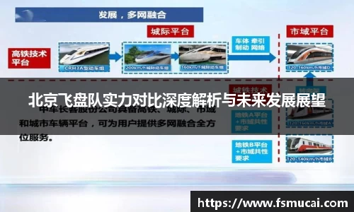 北京飞盘队实力对比深度解析与未来发展展望