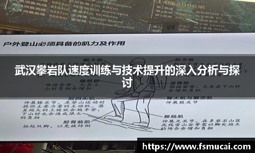 武汉攀岩队速度训练与技术提升的深入分析与探讨